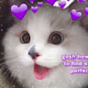 Meet your Posher, Ellie